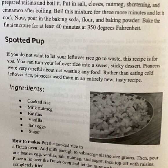 LOST RECIPES OF OUR ANCESTORS Learn How To Cook Without Electricity New Book - Picture 8 of 8